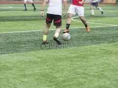 罗德里戈进,球门迪红牌,皇马与马略,球盟会官方网站入口,球盟会体育官网,球盟会体育登录入口,球盟会官方登录平台