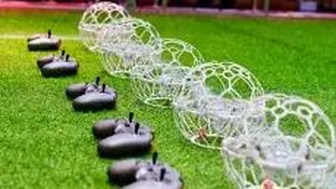 球盟会官方登录平台 资讯 094356 86u