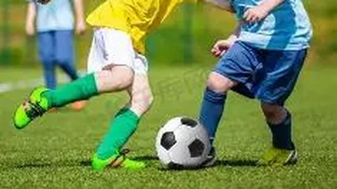 球盟会官方登录平台 资讯 094604 g16