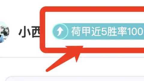 哈兰德英超进球效率达每100.6分钟一球，萨拉赫效率为每59分钟一球