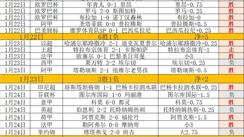 上海乒乓情缘再续——探秘乒超总决赛的活力之源